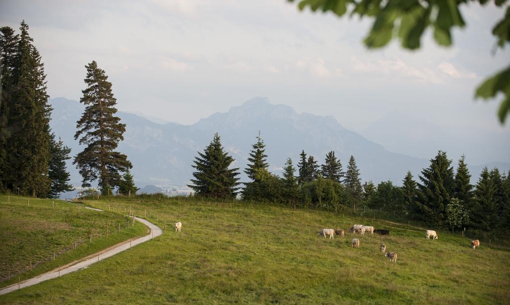 Panoramagasthof Auf Dem Auerberg Bernbeuren Exterior photo